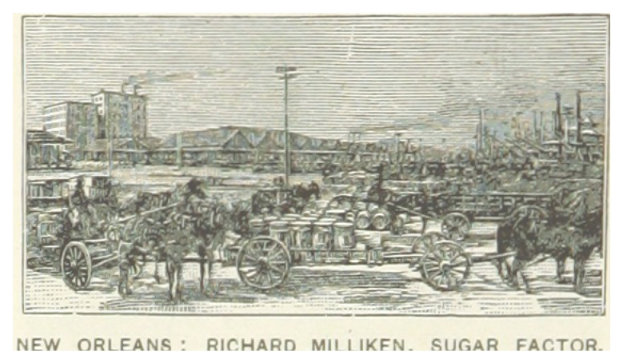 Ein Plakat, das eine Zuckerfabrik in New Orleans mit von Pferden gezogenen Wagen zeigt, die mit Menschen, Gebäuden und Pfählen im Hintergrund gefüllt sind, mit der Beschriftung "New Orleans Richard Milliken Sugar Factory" unten.