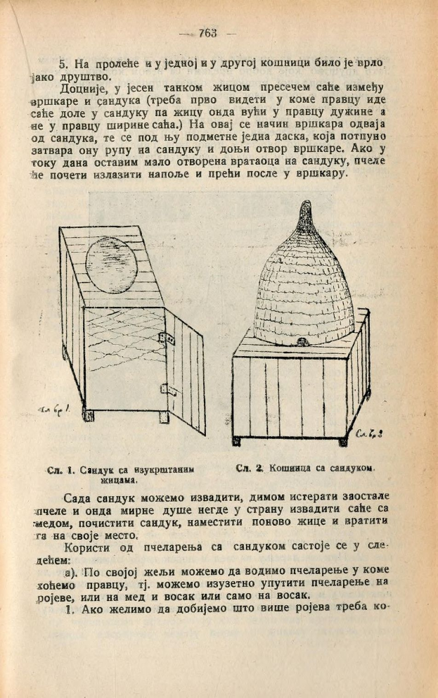 Ein aufgeschlagenes Buch mit einer Zeichnung eines Bienenstocks auf seiner Seite, das Text und Bilder über Bienenstöcke enthält.