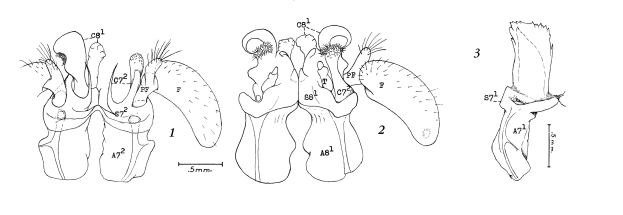 Eine detaillierte Zeichnung eines menschlichen Herzens mit beschrifteten Klappen und Text, der darauf hinweist, dass es ein Patent für eine Herzklappe ist.