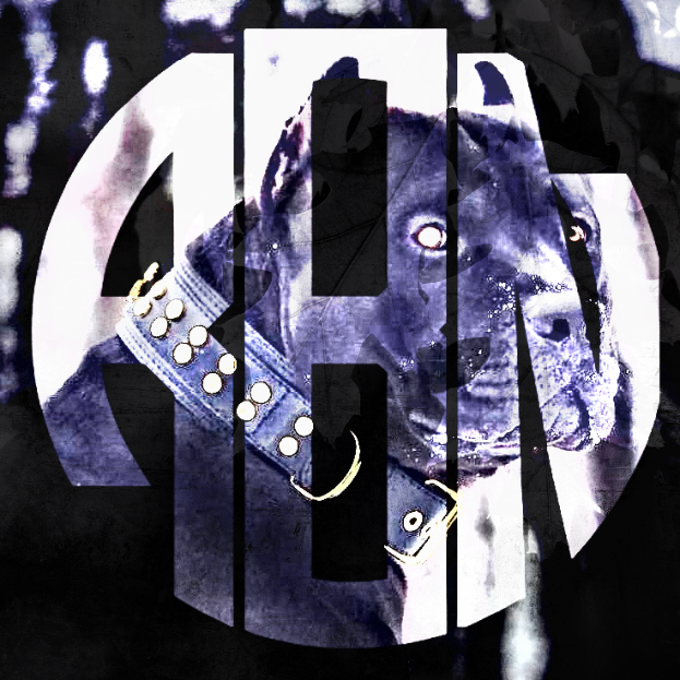 Ein Schwarz-Weiß-Foto eines schwarzen American Pit Bull Terriers mit einem hellgelben Halsband, das direkt in die Kamera schaut, vor einem dunklen Hintergrund.