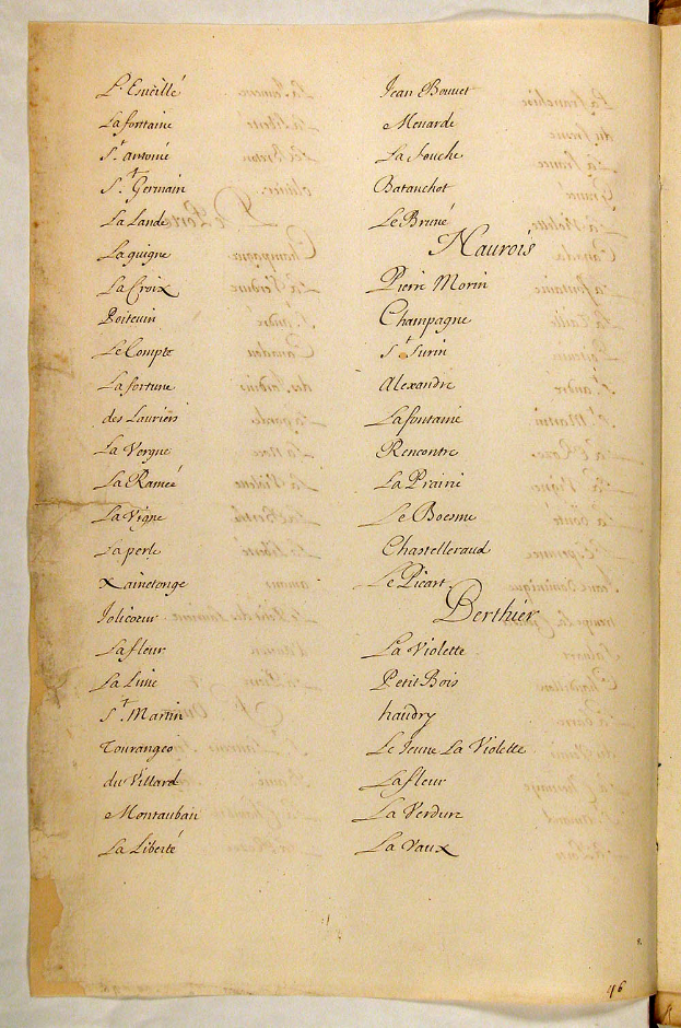 Ein offenes, altes Buch, das eine Liste von Namen anzeigt, wahrscheinlich ein genealogisches Verzeichnis aus der Französischen Revolution, mit gelblichen Seiten.