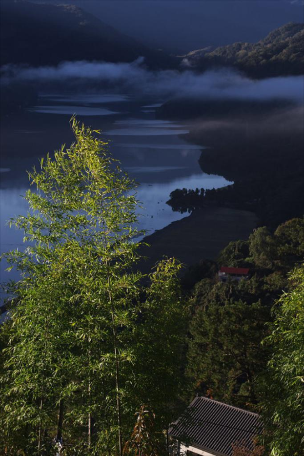 Ein Blick auf grüne Pflanzen vorne mit einem See, blauem Himmel und Wolken im Hintergrund.