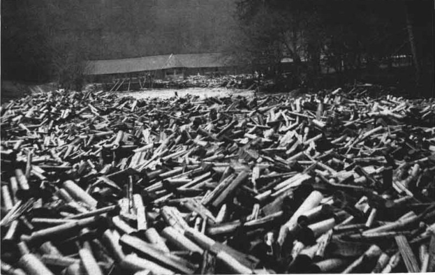 Ein Schwarz-Weiß-Foto eines großen Haufens von Kugeln im Vordergrund, mit einer Hütte und Bäumen im Hintergrund und dem Text "Zweiter Weltkrieg" unten.