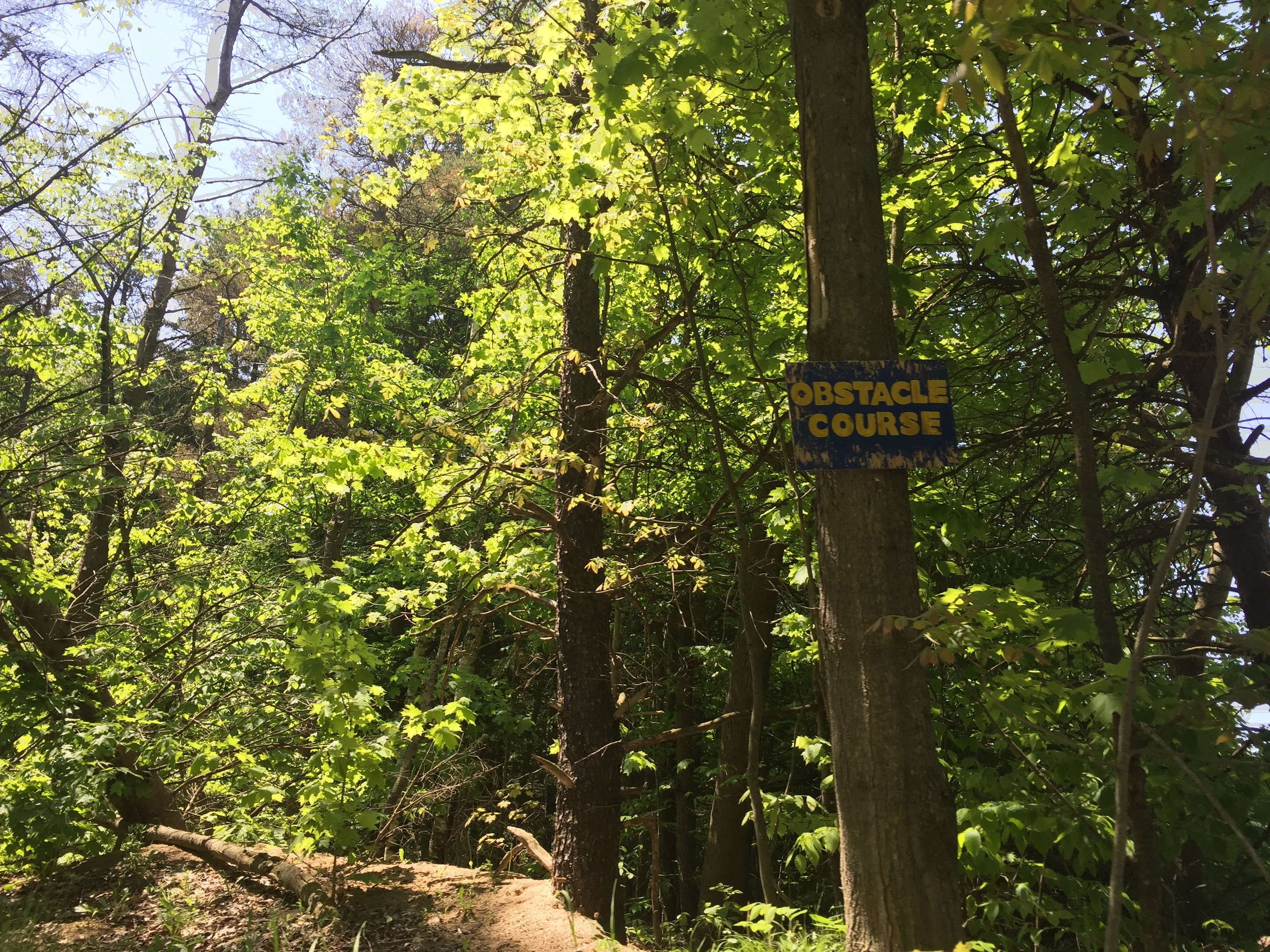 Ein Schotterweg in einem Waldgebiet mit einem hölzernen Schild, auf dem "Hindernislauf" steht, und Bäumen auf beiden Seiten, die zu einem sichtbaren Himmel im Hintergrund führen.