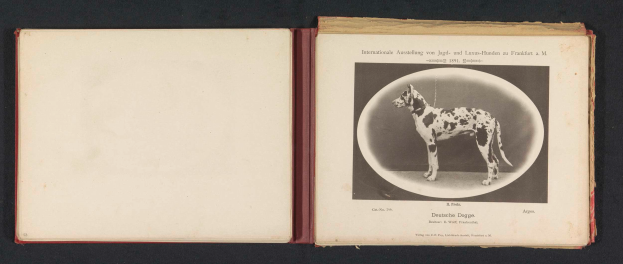 Ein aufgeschlagenes Buch mit dem Titel "Internationale Ausstellung von Jagd- und Luxushunden nach Frankfurt a.M." und einem Schwarz-Weiß-Foto eines Hundes.