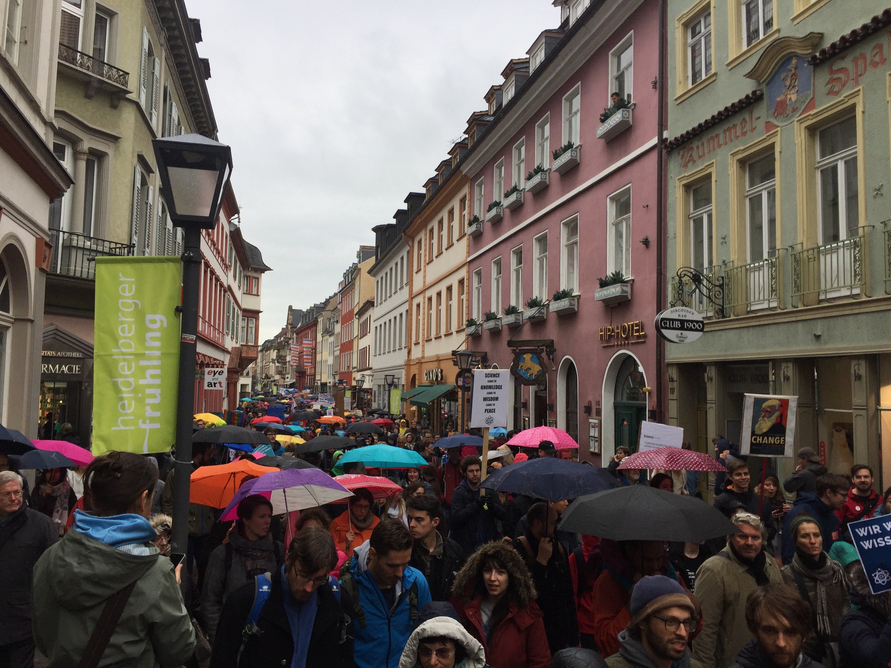 Eine große Gruppe von Menschen geht mit Schirmen die Straße entlang, einige tragen Taschen und halten Schilder, während sie an einem climate strike in Deutschland teilnehmen.