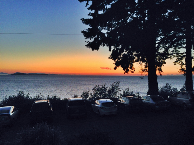 Eine friedliche Küstenlandschaft mit zwei Bäumen und einigen Pflanzen im Vordergrund, einer ruhigen See in der Mitte und einer Reihe geparkter Autos im Hintergrund.