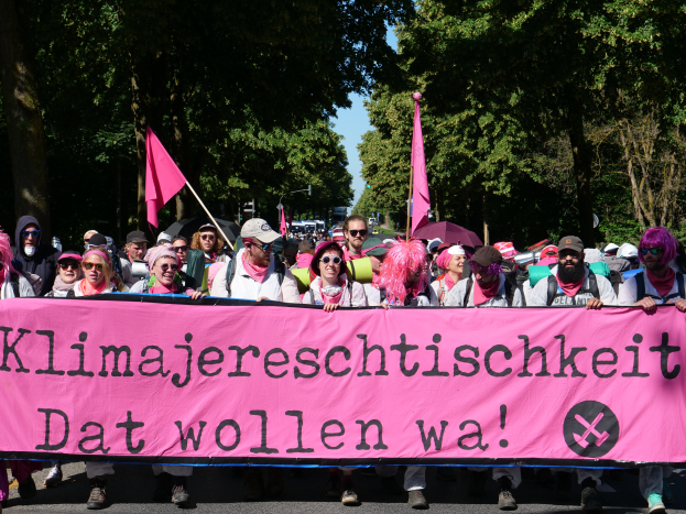 Eine Gruppe von Menschen marschiert auf einer Straße und hölt eine pinkfarbene 'Women's March'-Fahne, einige tragen Mötzen und Schutzbrillen und andere halten Fahnen, vor einem klaren blauen Himmel mit Bäumen im Hintergrund.