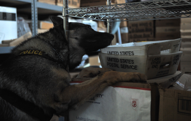 Ein schwarzer und brauner Polizeihund ruht auf einem Stapel Kisten in einem Lagerhaus, umgeben von Kartonregalen.