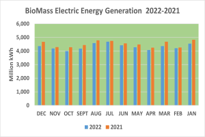 Eine Liniengrafik, die die Stromerzeugung aus Biomasse von 2021 bis 2022 zeigt, mit begleitendem Text, der zusätzliche Datendetails bereitstellt.
