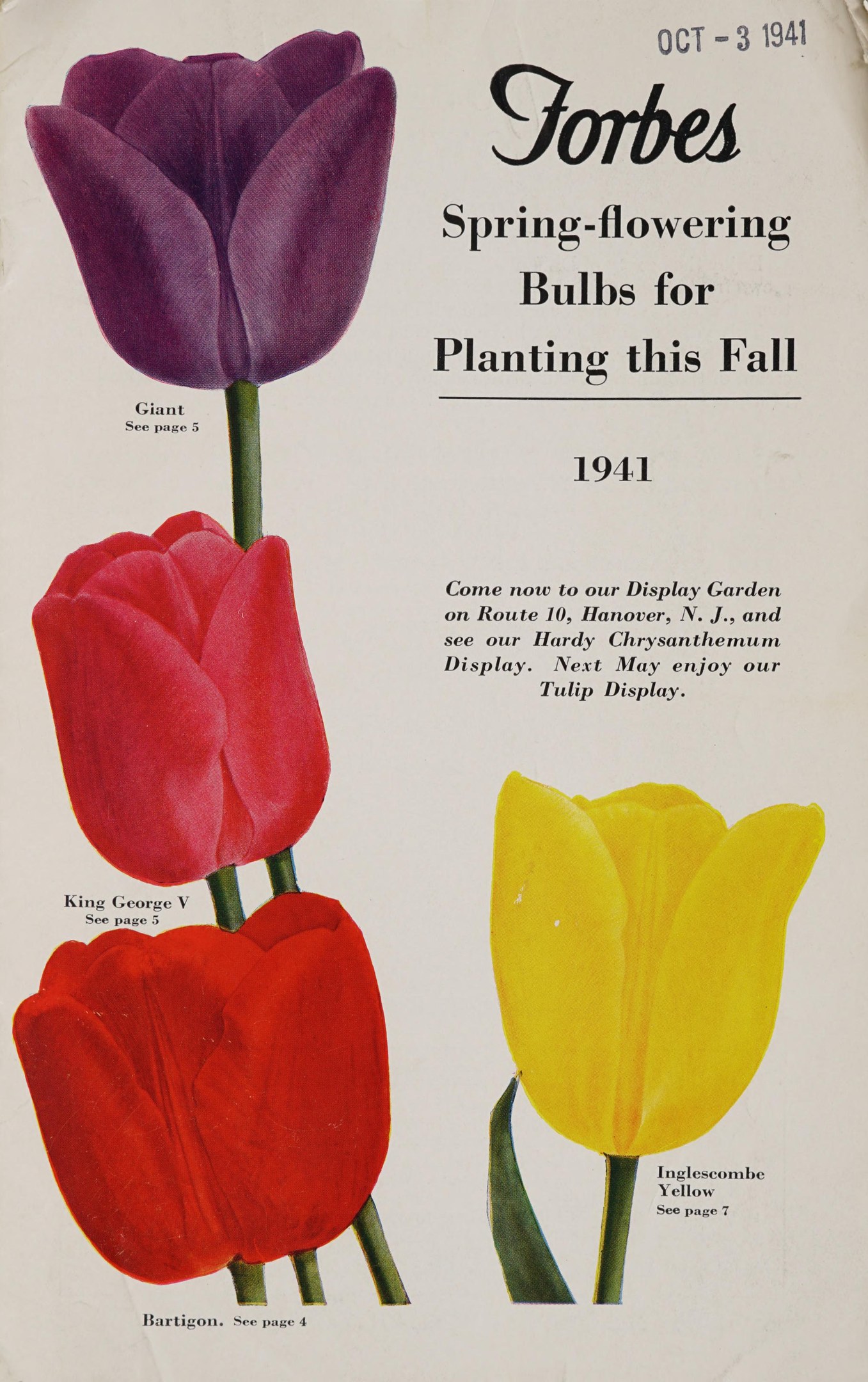 Plakat aus dem Jahr 1941 mit drei Tulpen in rot, gelb und lila, die symmetrisch gegen einen weißen Hintergrund angeordnet sind, mit der Aufschrift "Forbes Frühlingsblüher für die Pflanzung in diesem Herbst 1941" oben.