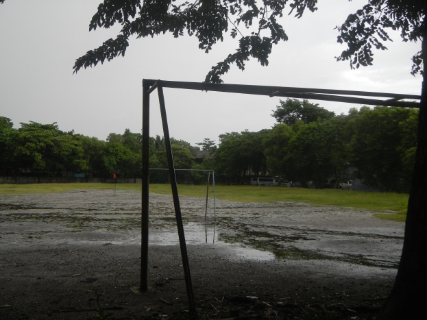 Ein Fußballtor aus Metallstangen steht in der Mitte eines grünen Feldes, umgeben von Bäumen unter einem klaren blauen Himmel.