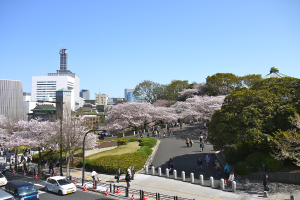 Eine Vogelperspektive auf eine Straße mit fahrenden Autos, einen Gehweg mit Fußgängern, Absperrgittern, Verkehrssignalmasten, Hecken, Bäumen, Gebäuden und einem Himmel im Hintergrund.