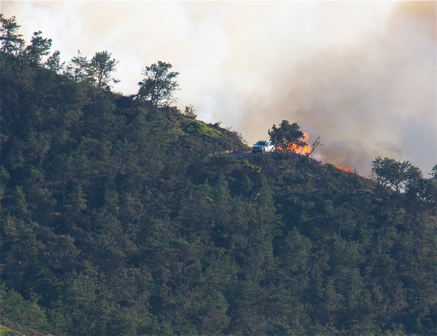 Ein Höhengel mit zahlreichen Bäumen, einem Fahrzeug und einem Feuer mit Rauch.