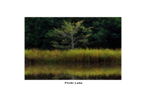 Eine grüne Landschaft mit einigen Bäumen und Text am unteren Bildrand.