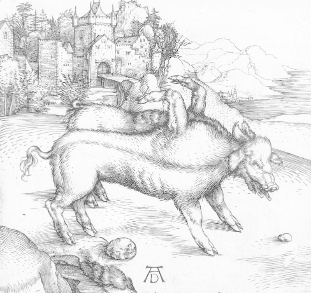 Ein Schwarz-Weiß-Zeichnung von zwei Schweinen in einer Landschaft mit einem Schloss, Bäumen, Hügeln und einem Gewässer im Hintergrund, mit der Beschriftung "Albrecht Dürer - Die drei Eber" unten.