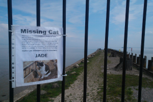 Ein Werbeplakat auf einem Grill mit einer Brücke im Hintergrund.