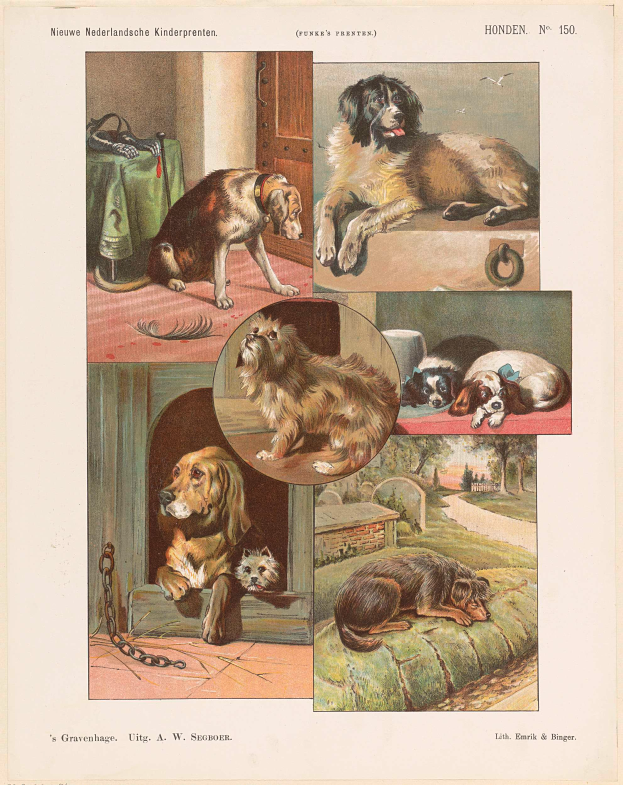 Eine Buchseite mit verschiedenen Hundewelpen und begleitendem Text.