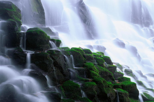 Ein Wasserfall auf der rechten Seite mit Moos im Vordergrund.