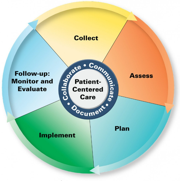 Ein Kreisdiagramm mit der Überschrift 'patientenorientierte Versorgung' und vier farbigen Abschnitten, jeweils mit einer bestimmten Art der Versorgung beschriftet.
