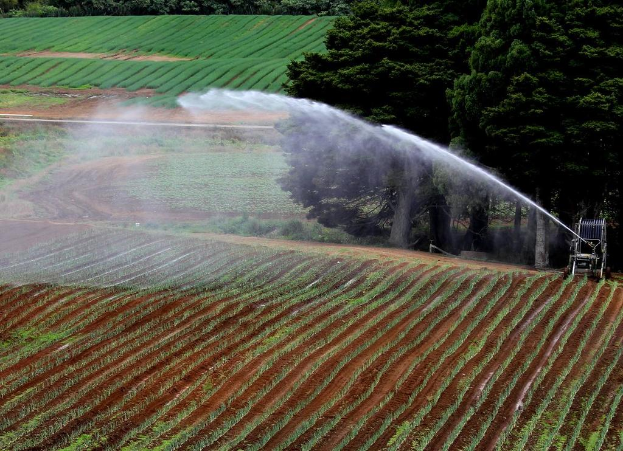 Landwirtschaftliches Feld mit verschiedenen Kulturen, einer Bewässerungsmaschine im Vordergrund und einer Reihe von Bäumen mit weiteren Kulturen im Hintergrund.