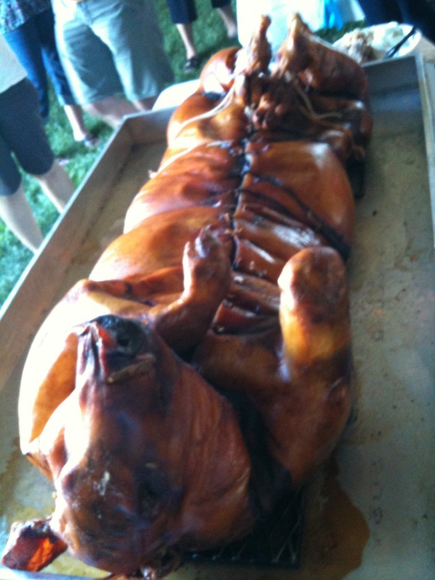 Ein Ferkel auf einem Metallteller mit einigen Personen auf Gras in der oberen linken Ecke.