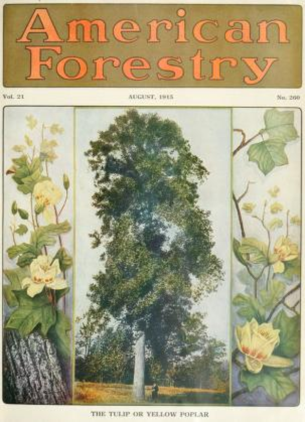 Ein Buchumschlag mit der Aufschrift 'American Forestry Magazine, August 1915' mit leuchtenden Illustrationen von Bäumen, Blumen und Laub.