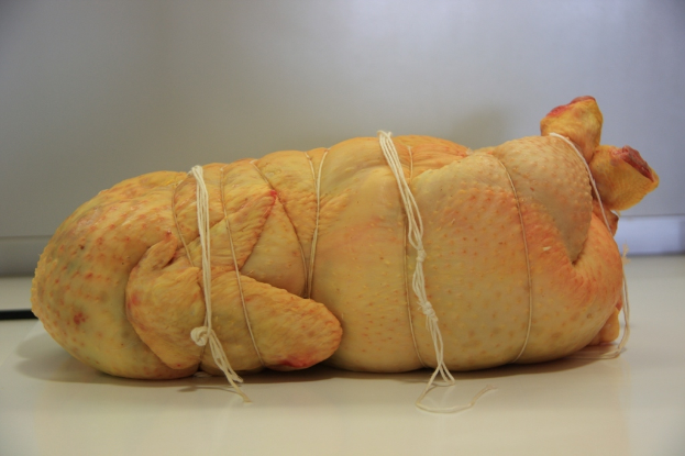 Fleisch mit Fäden auf weißem Hintergrund.