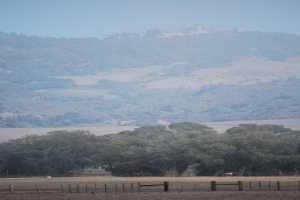 Ein Feld mit Pferden, umgeben von einem Zaun, mit Bäumen, einem Berg und dem Himmel im Hintergrund.
