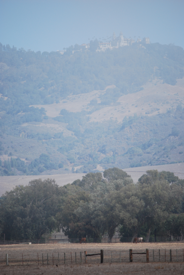 Ein Feld mit Pferden, umgeben von einem Zaun, mit Bäumen, einem Berg und dem Himmel im Hintergrund.