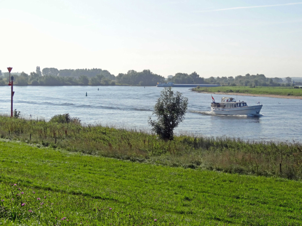 Ein Boot, das einen von Grünflächen, Pflanzen und Blumen gesäumten Fluss entlangfährt, mit Bäumen und einem blauen Himmel im Hintergrund.