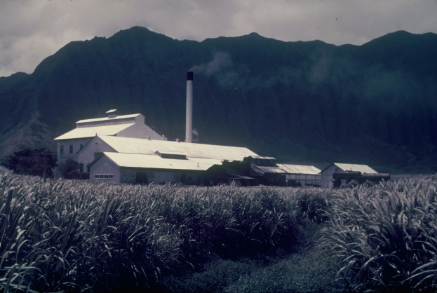 Altes Foto einer Zuckerrohrfabrik in einem Feld mit umliegenden Pflanzen und Bäumen, Hügeln und einem Schornstein im Hintergrund, bewölktem Himmel und Text am unteren Rand.