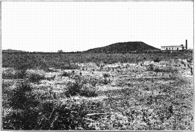 Ein Schwarz-Weiß-Foto eines Feldes mit einem Hügel im Hintergrund, einem Gebäude auf der rechten Seite und einem Himmel oben, mit dem Text "New York State Penitentiary" unten.