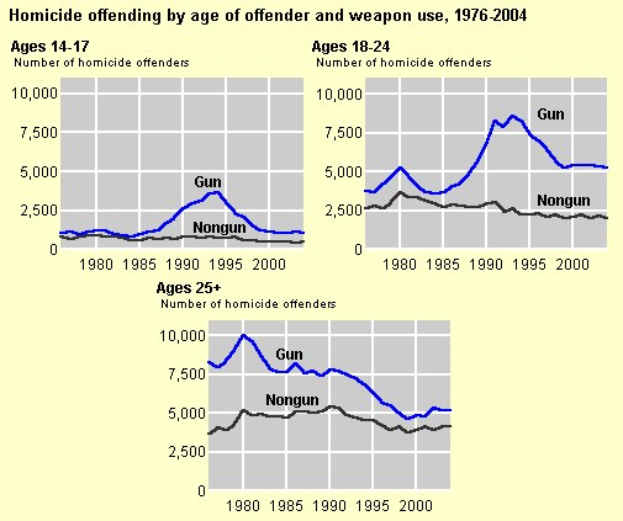 Balkendiagramm, das die Homicid-Rate je Alter des Täters und Waffentyp von 1976 bis 2004 zeigt, mit begleitendem erklärendem Text.