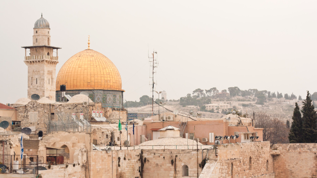 Mehrere Ziegelgebäude mit Satellitenschüsseln und Klimaanlagen, im Hintergrund Bäume und Himmel.